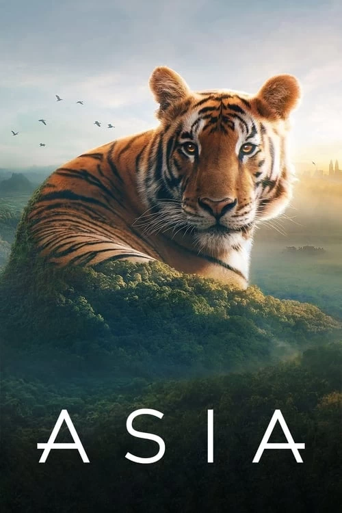 پوستر آسیا